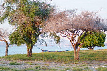 Similar image 276098