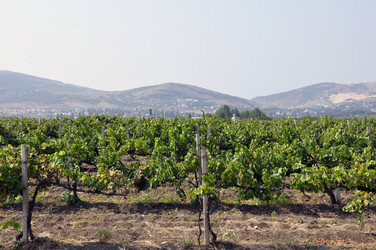 Similar image 276109