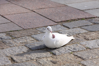 Similar image 276116