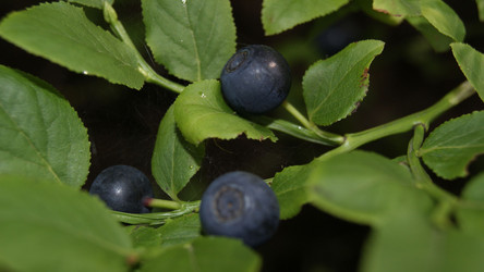 Similar image 276124