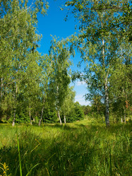 Similar image 276143