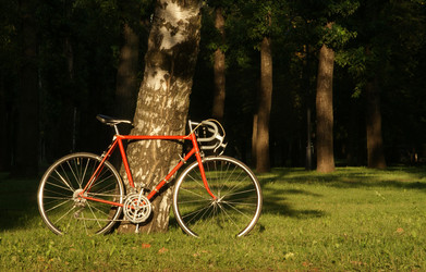 Similar image 276162