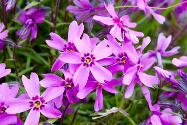 Similar image 276164