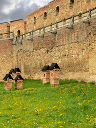 Similar image 276189