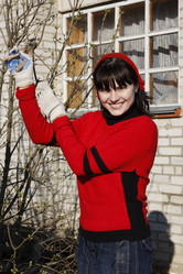 Similar image 276204