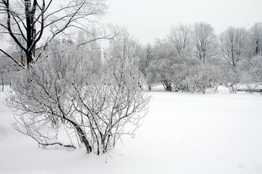 Similar image 276241