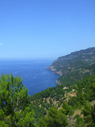 Similar image 276288