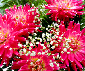 Similar image 276292