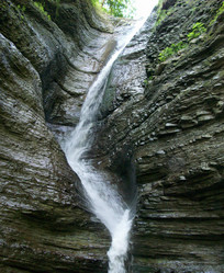 Similar image 276304