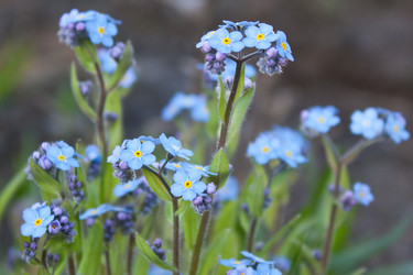 Similar image 276310