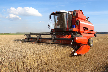 Similar image 276378