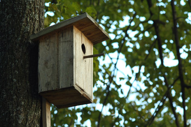 Similar image 276432