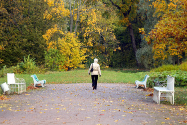 Similar image 276454