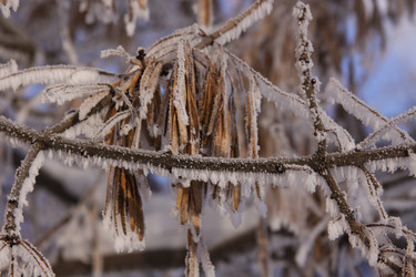 Similar image 276464