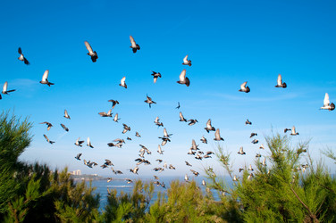 Similar image 276492