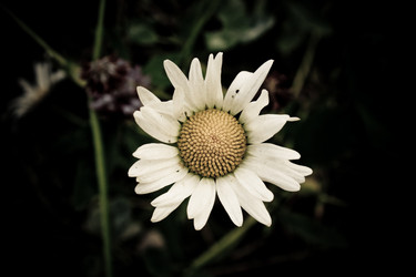 Similar image 276546