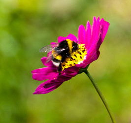 Similar image 276547