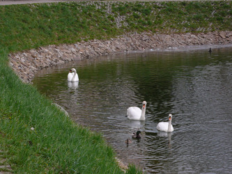 Similar image 276689