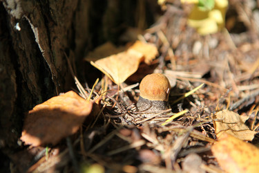 Similar image 276692