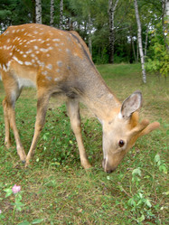 Similar image 276695