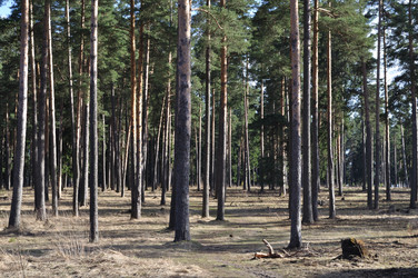 Similar image 276717