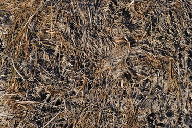 Similar image 276724