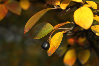 Similar image 276768