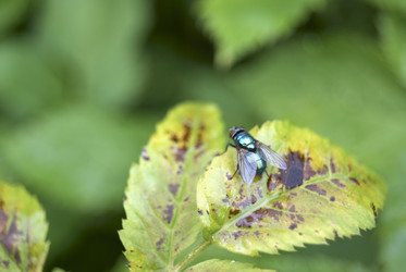 Similar image 276778