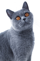 Similar image 276801