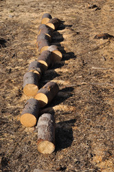 Similar image 276808