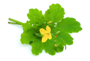 Similar image 276828