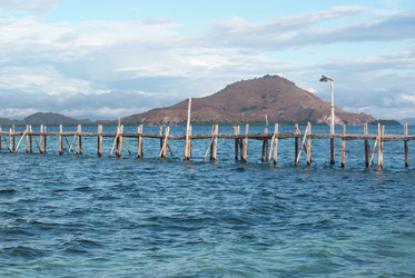 Similar image 276829