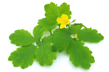 Similar image 276833