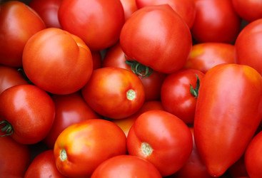 Similar image 276852