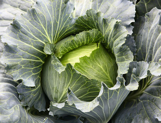 Similar image 276874