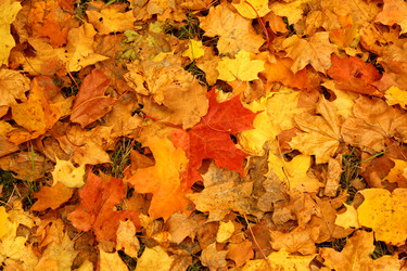 Similar image 276884