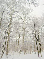 Similar image 276940