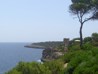 Similar image 276942