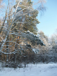 Similar image 276985