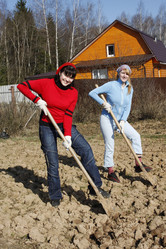 Similar image 276988