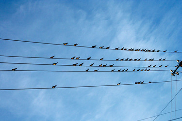 Similar image 277025