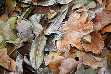 Similar image 277056