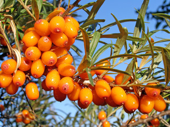 Similar image 277068