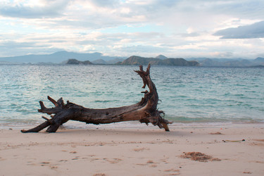 Similar image 277109