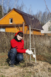 Similar image 277114