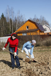 Similar image 277125