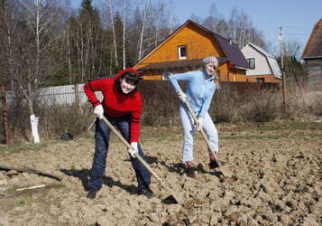 Similar image 277126