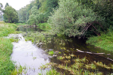 Similar image 277181