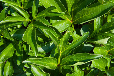 Similar image 277195