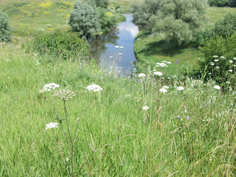 Similar image 277201